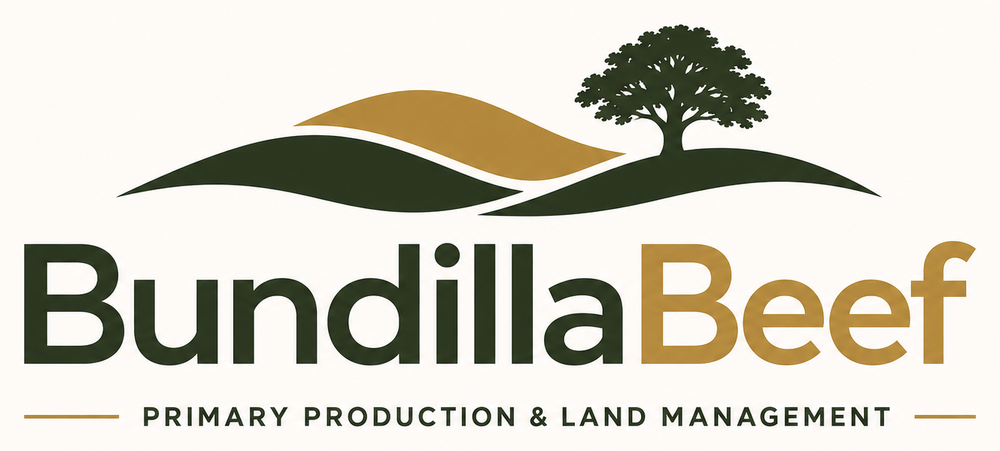 Bundilla Beef